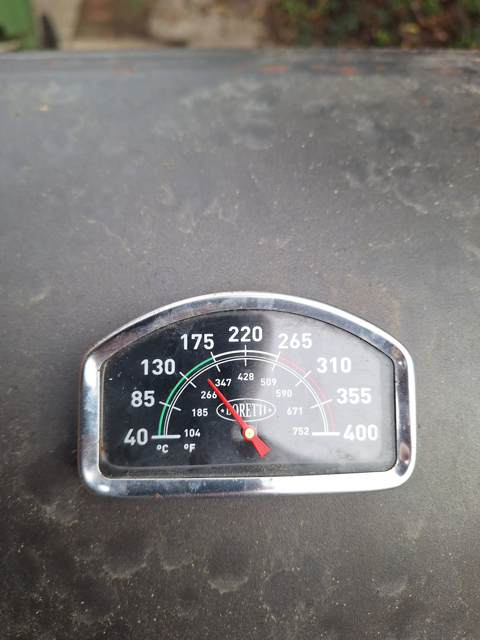 1000093595.jpg