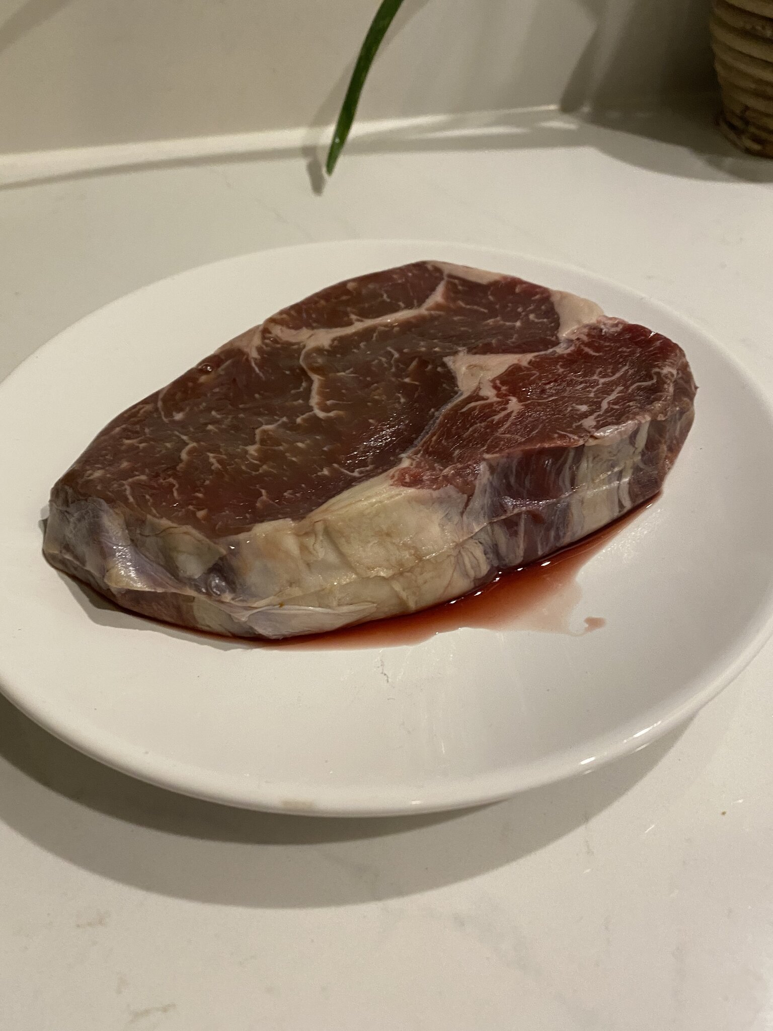 16F65715-88EE-4E33-9F1E-917D9194E245.jpeg