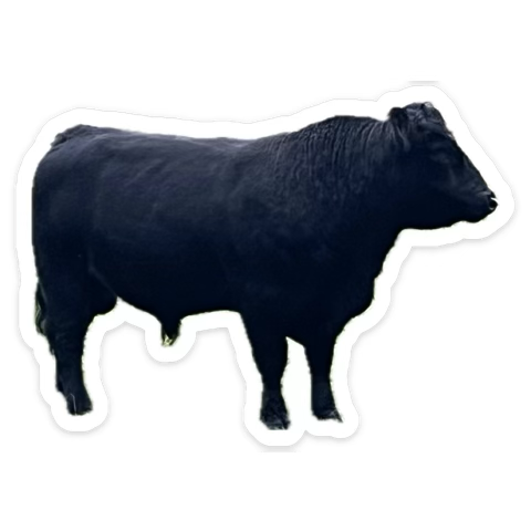 1749391153966.png