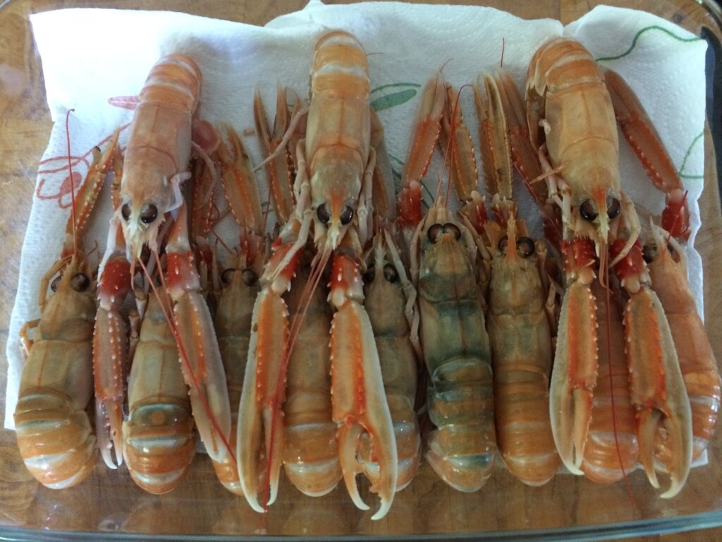 1_Langoustines.JPG