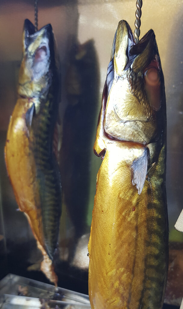 20200919_175916.JPG