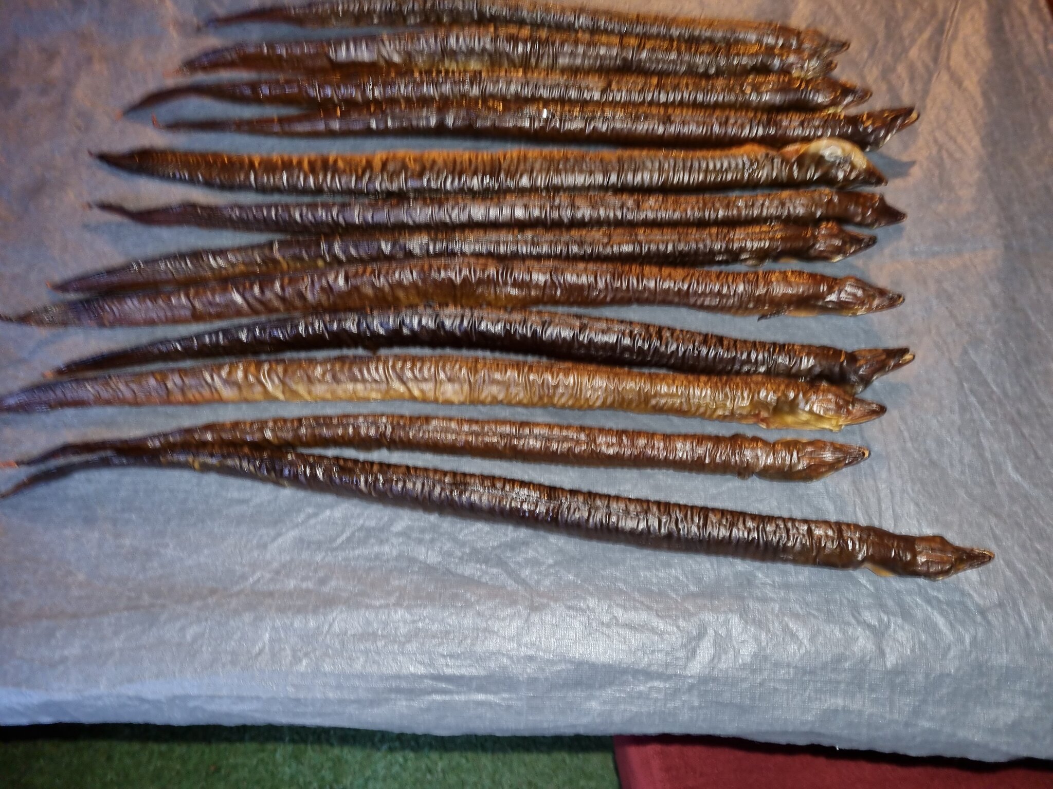 20210901_194838.jpg