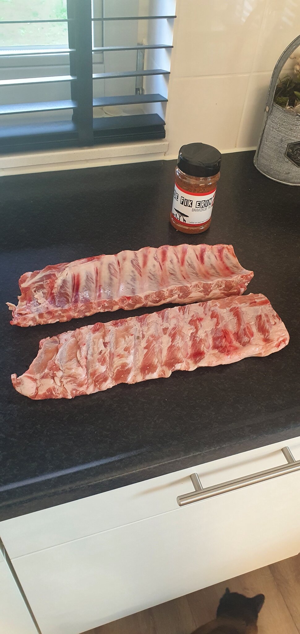 20220303_120417.jpg