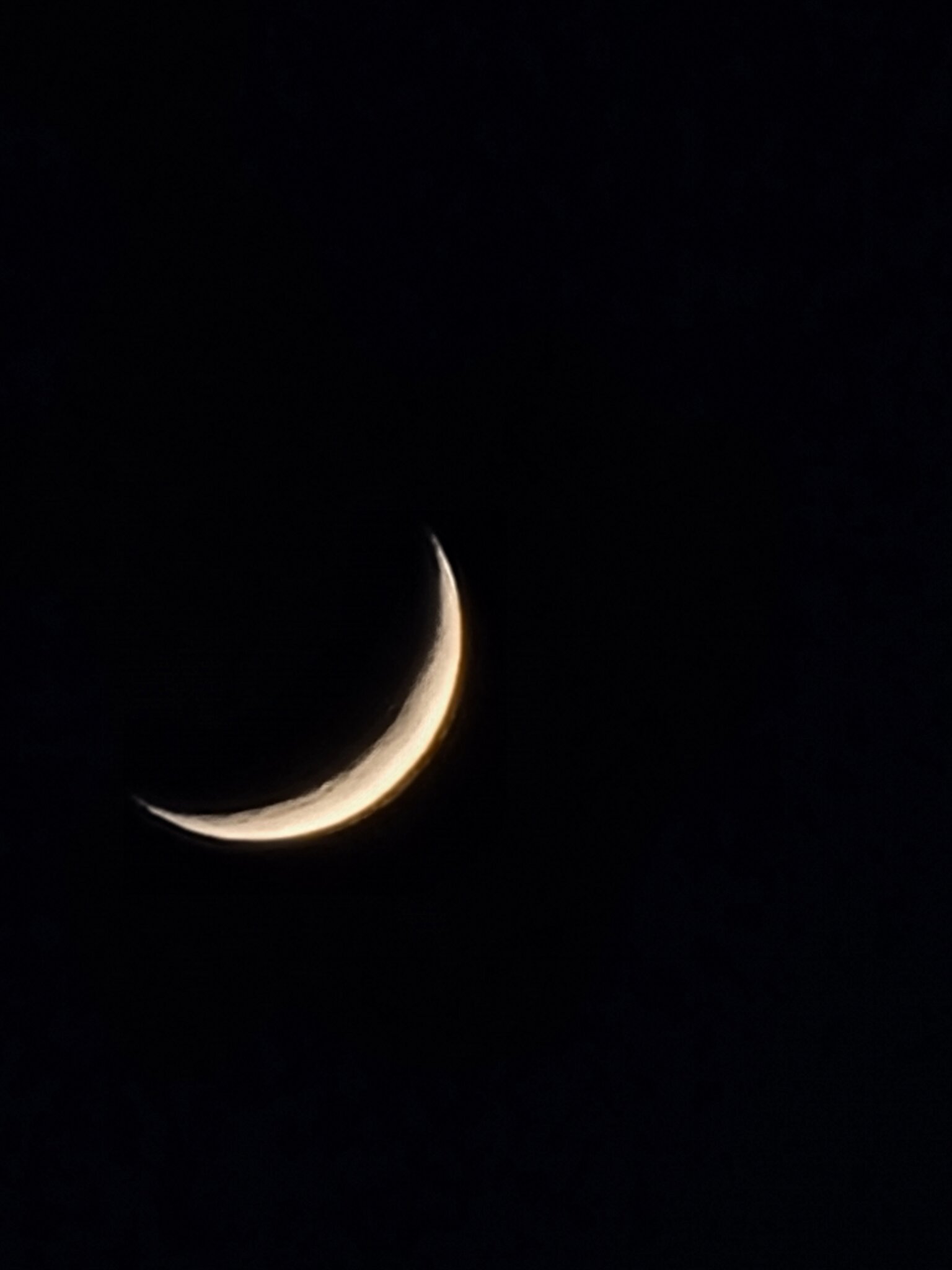 20220305_190614.jpg