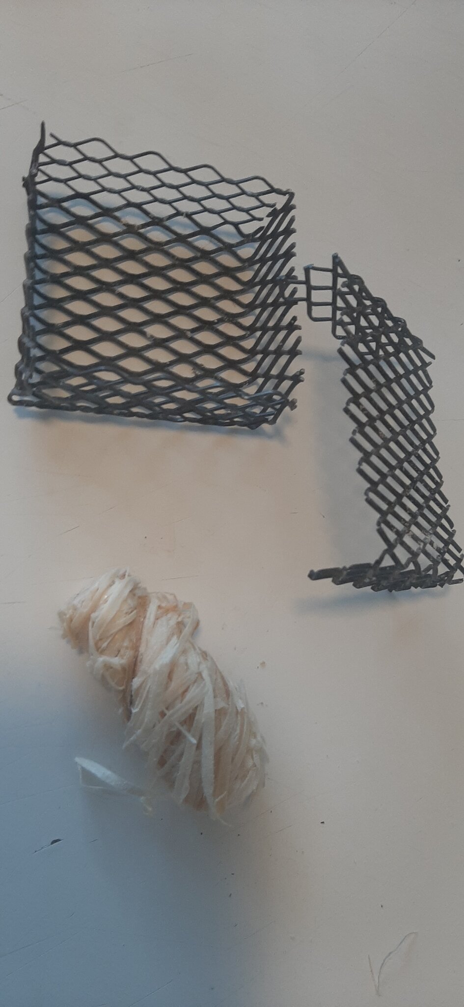20220809_184541.jpg