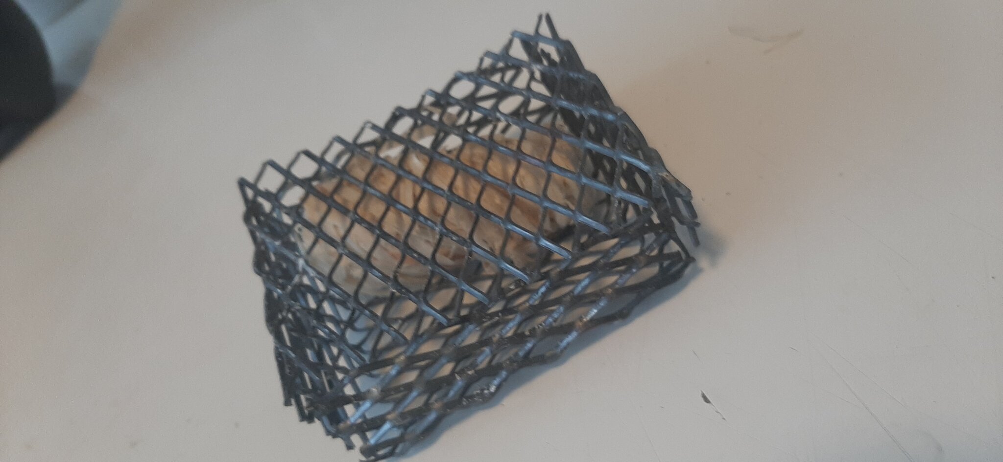 20220809_184612.jpg