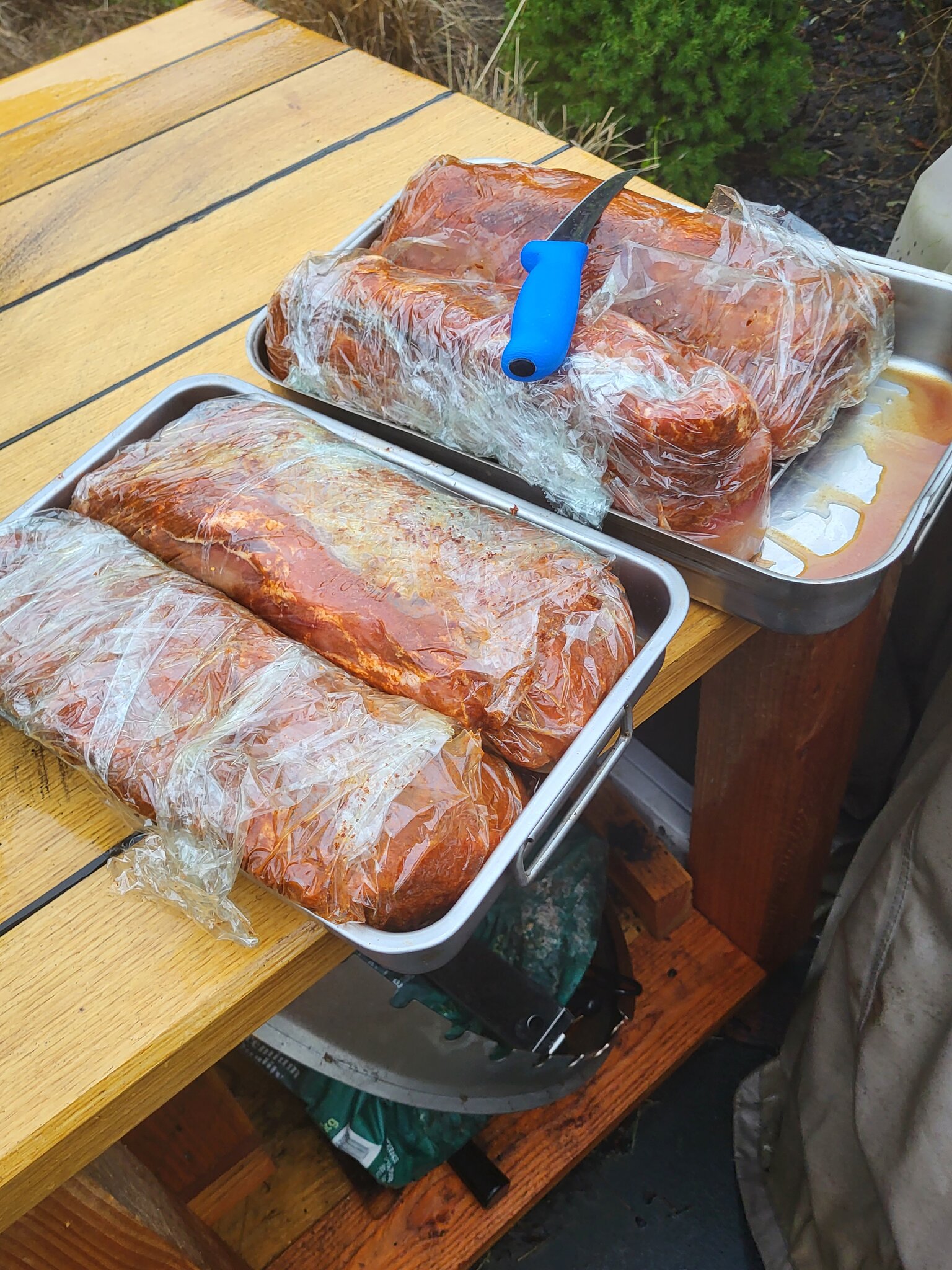 20230310_083219.jpg
