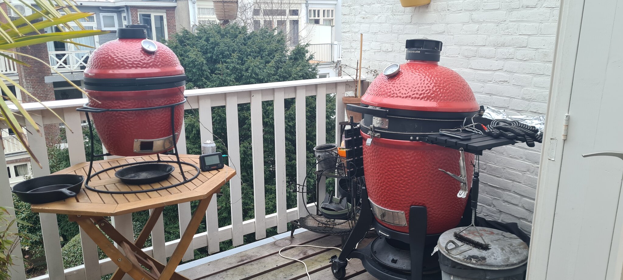 20230318_172543.jpg