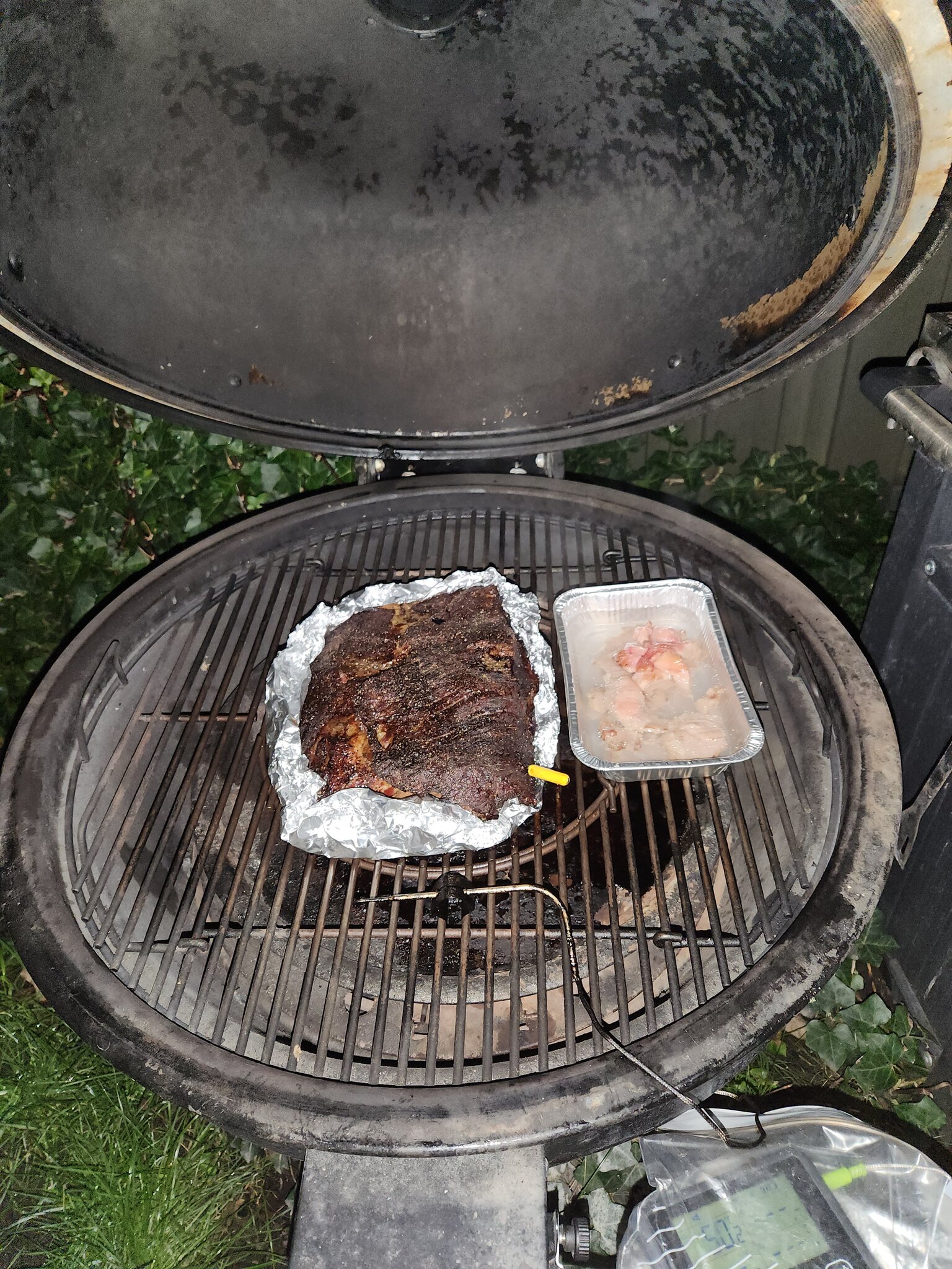 20230422_053749.jpg