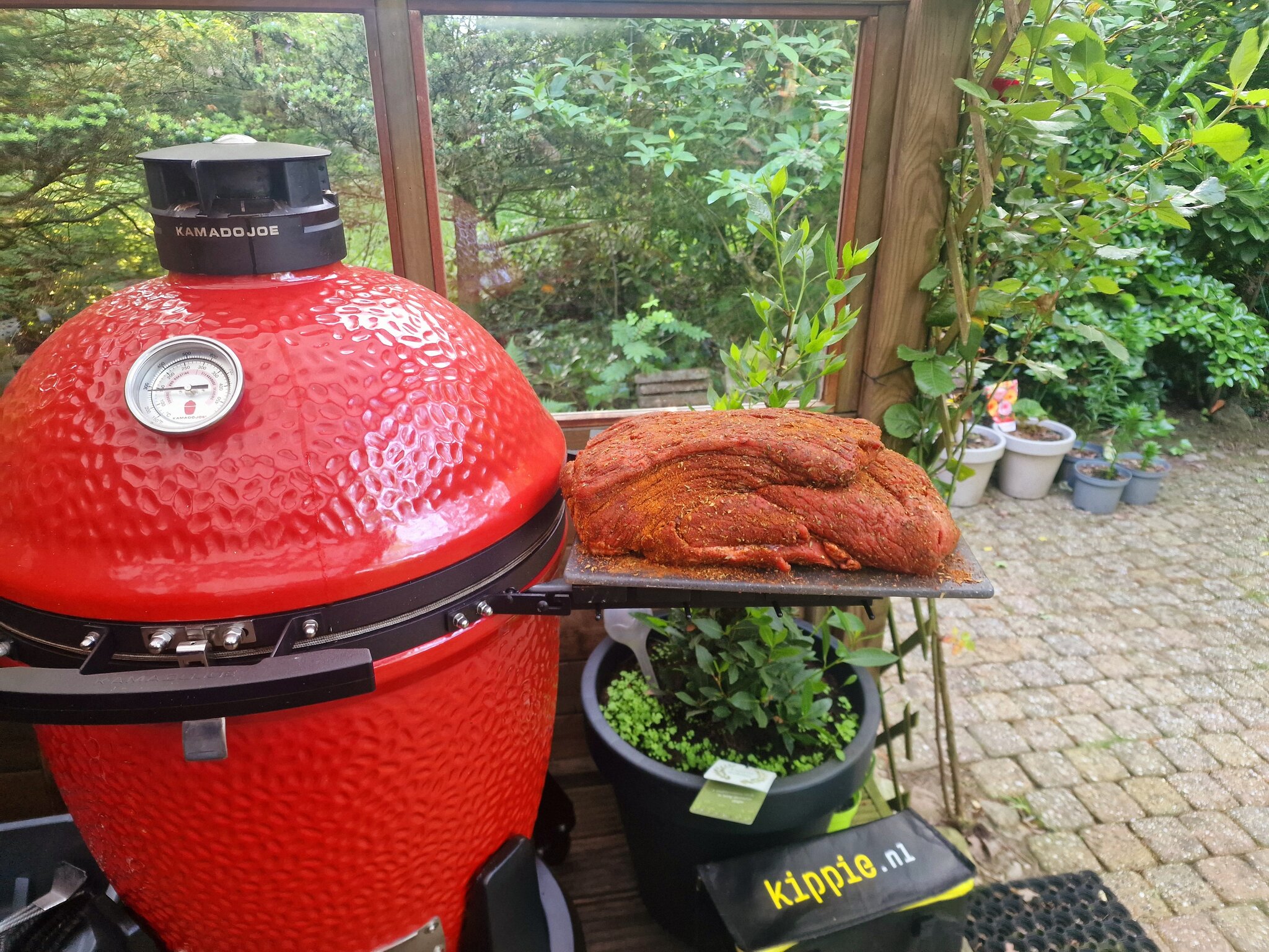 20230527_072542.jpg