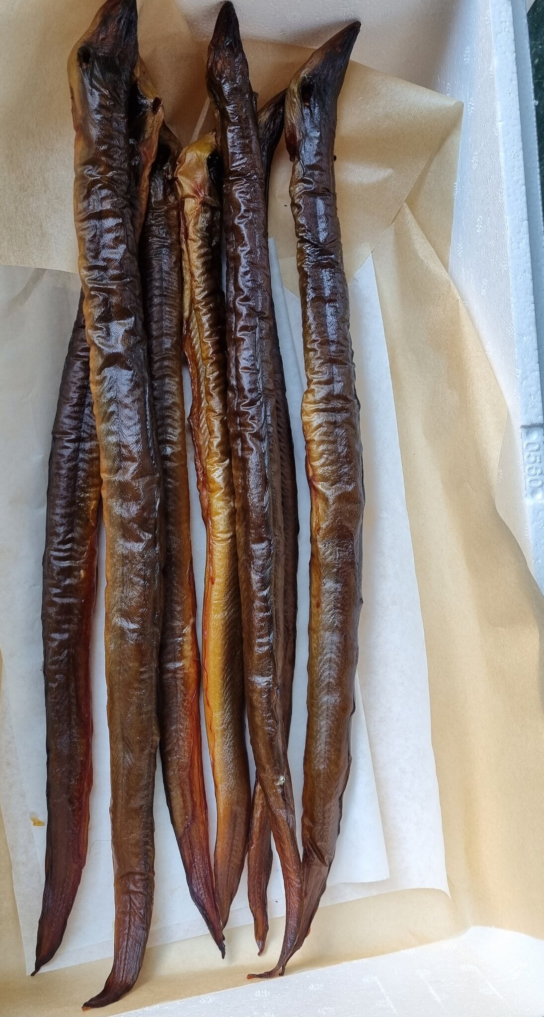 20230607_194042.jpg