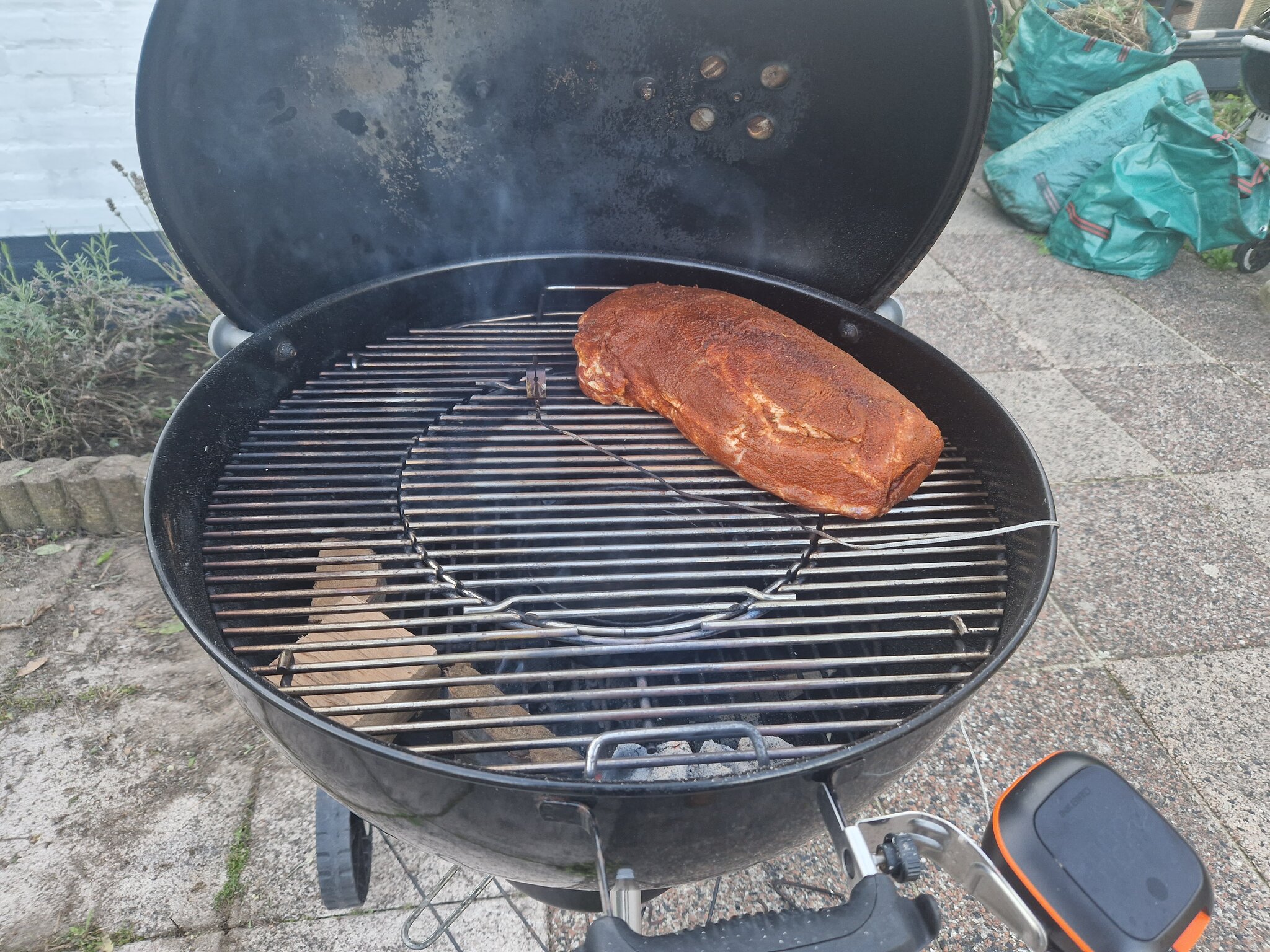 20230811_074737.jpg