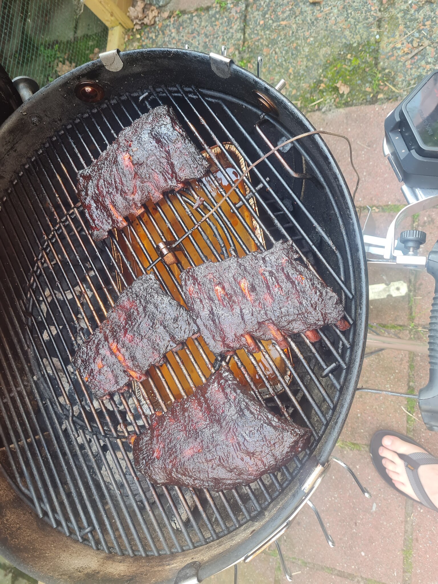 20230818_174921.jpg