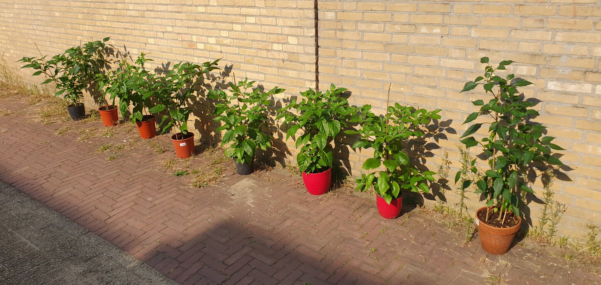 20230909_104107.jpg