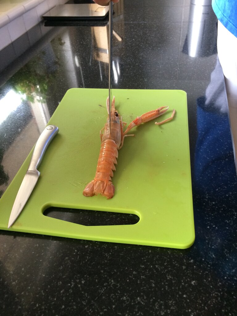2_langoustine.JPG