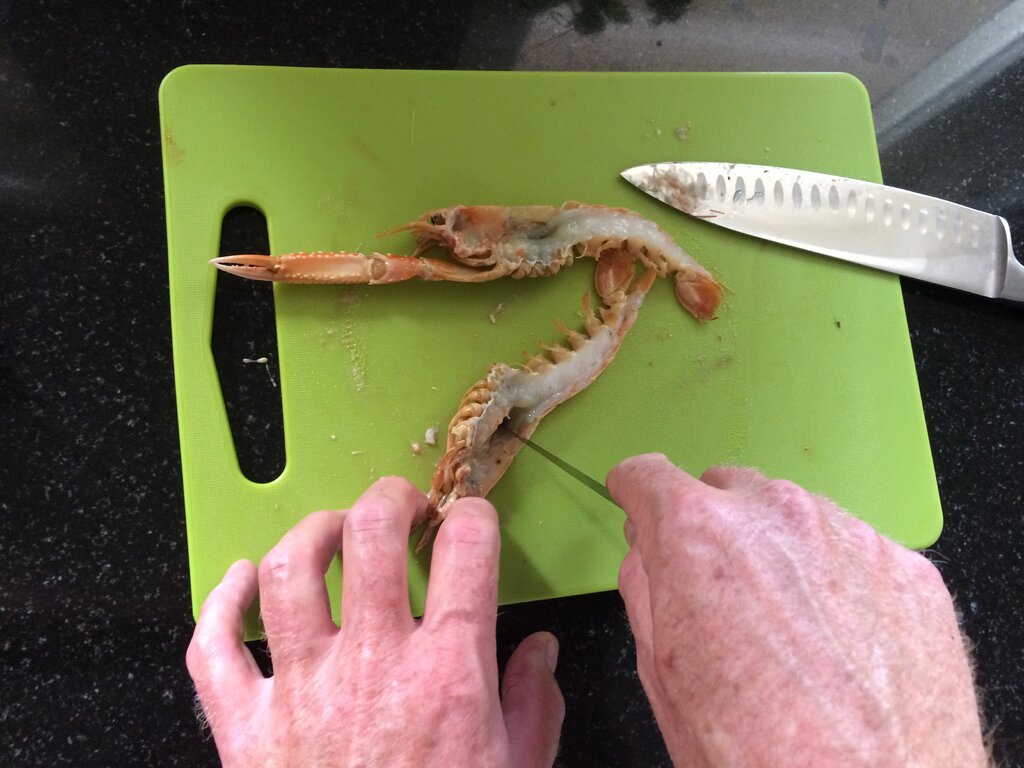 4_langoustine.JPG