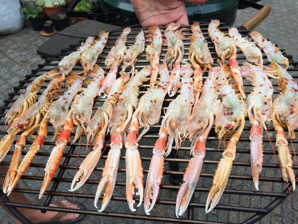 7_langoustines.JPG
