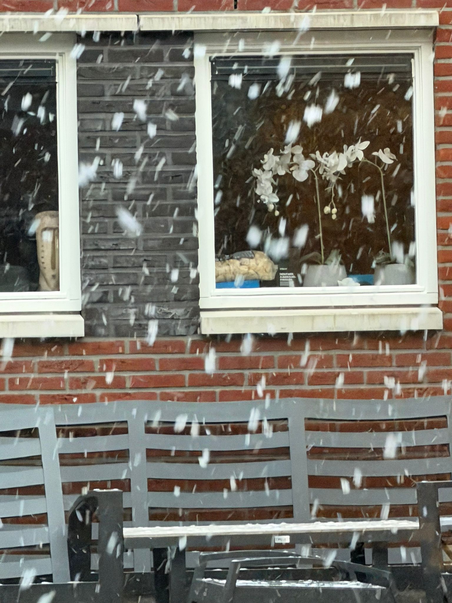 Afbeelding van WhatsApp op 2025-11-23 om 19.07.51_0a5897f0.jpg