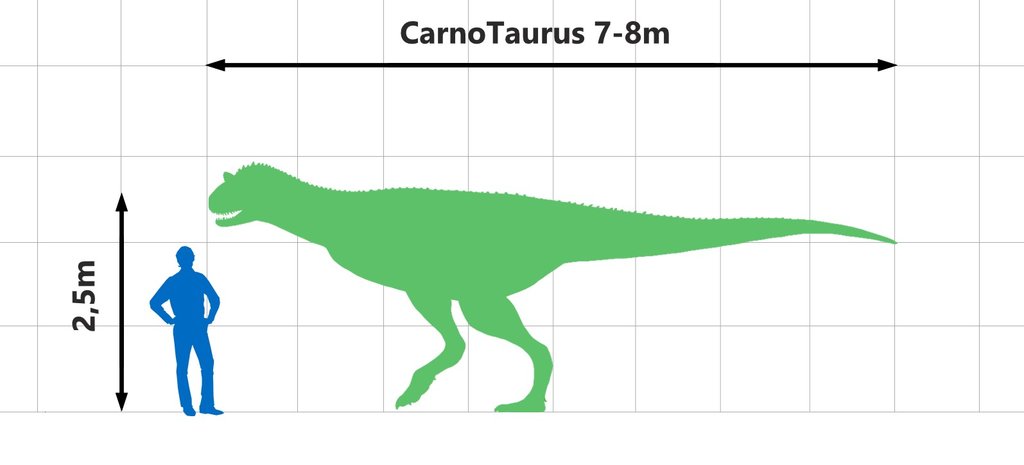 CarnoTaurusSize.jpg