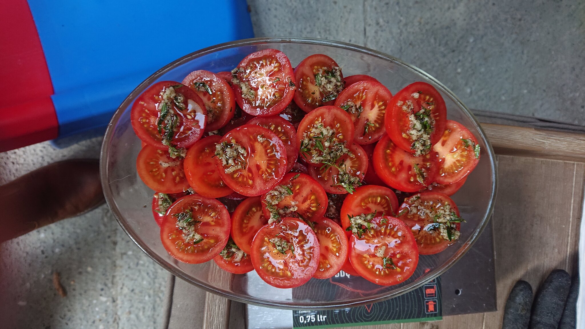 DSC_0159.JPG