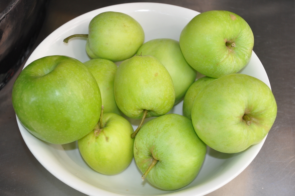 DSC_1107.JPG
