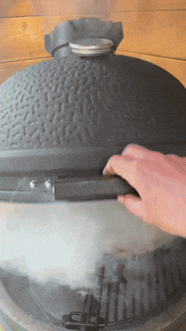 giphy-downsized-medium.gif