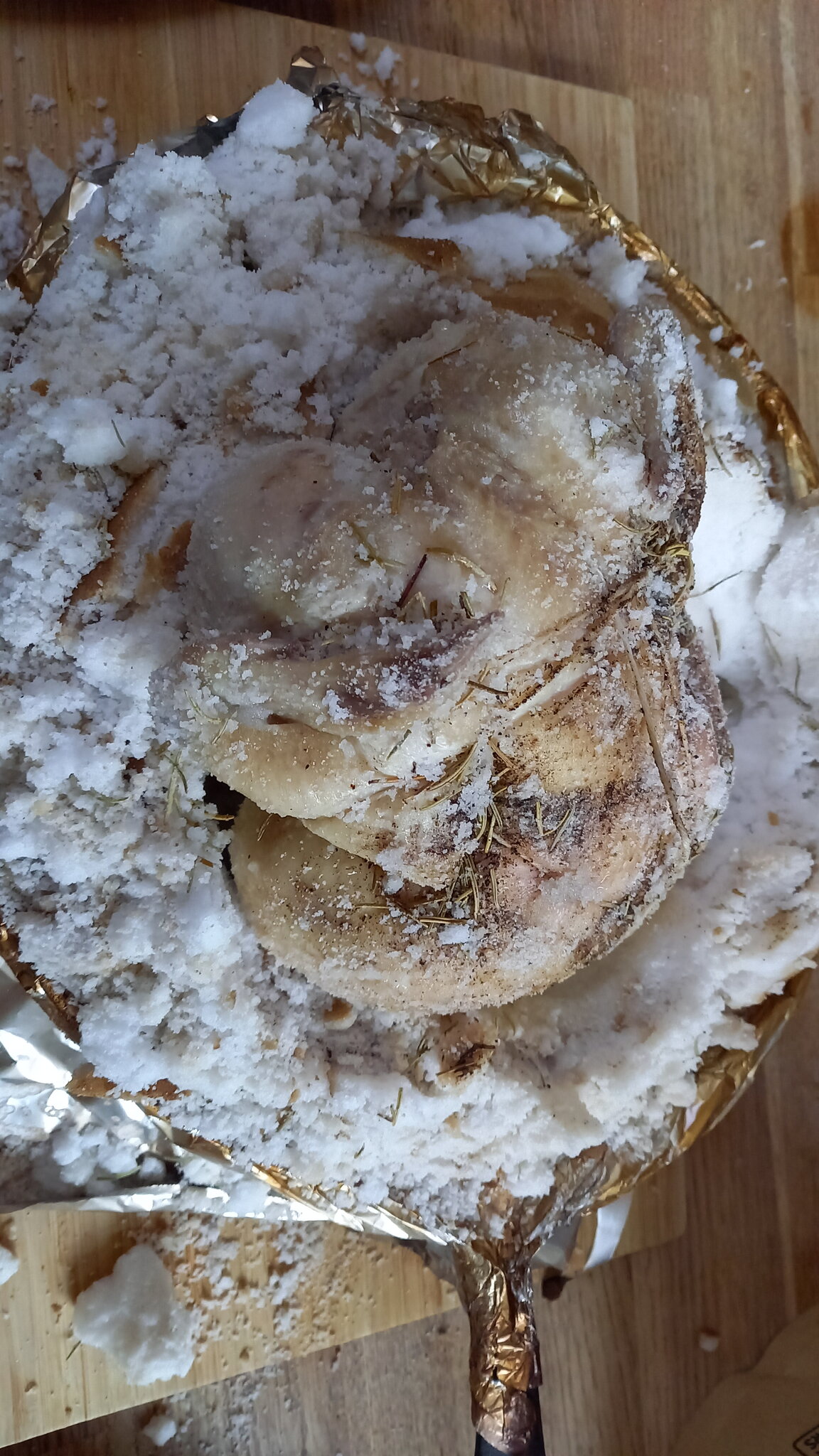 IMG-20230415-WA0024.jpeg