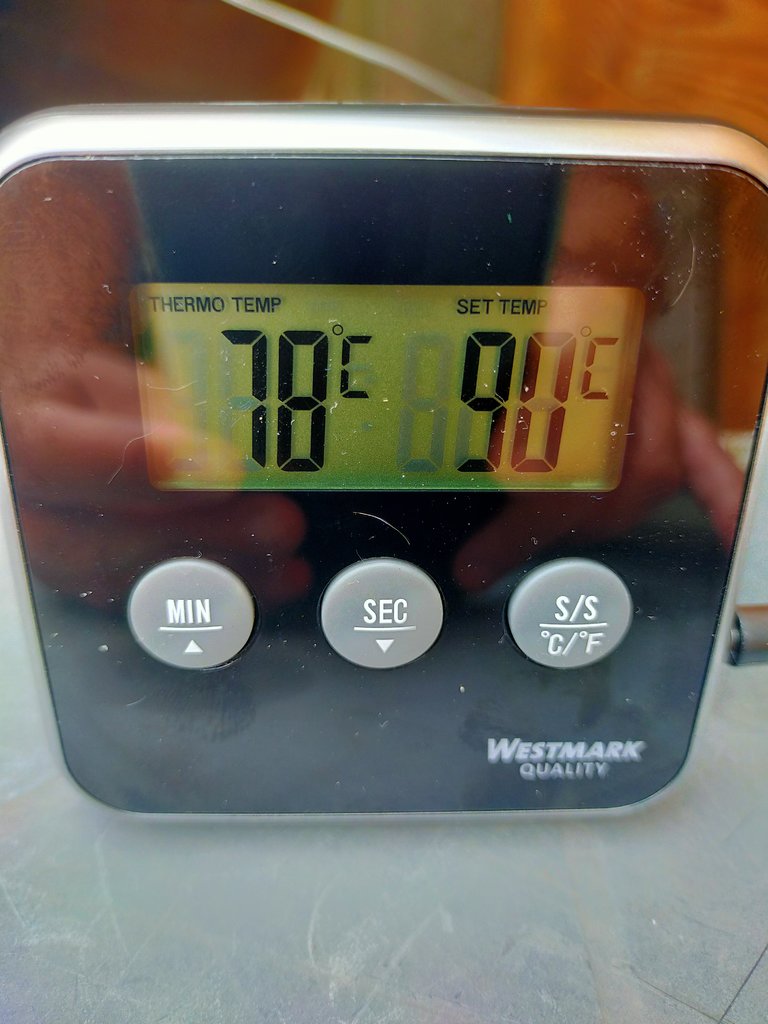 IMG20200621140605.jpg