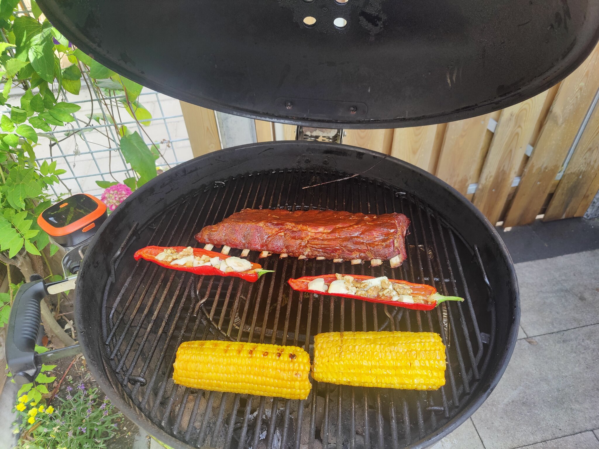 IMG20230702173040.jpg