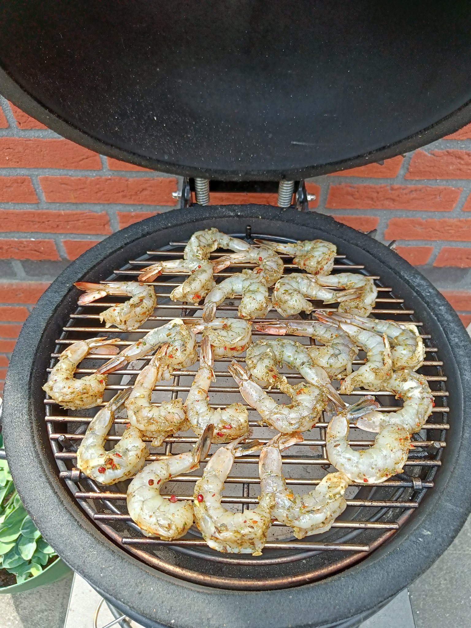 IMG20250530135648.jpg