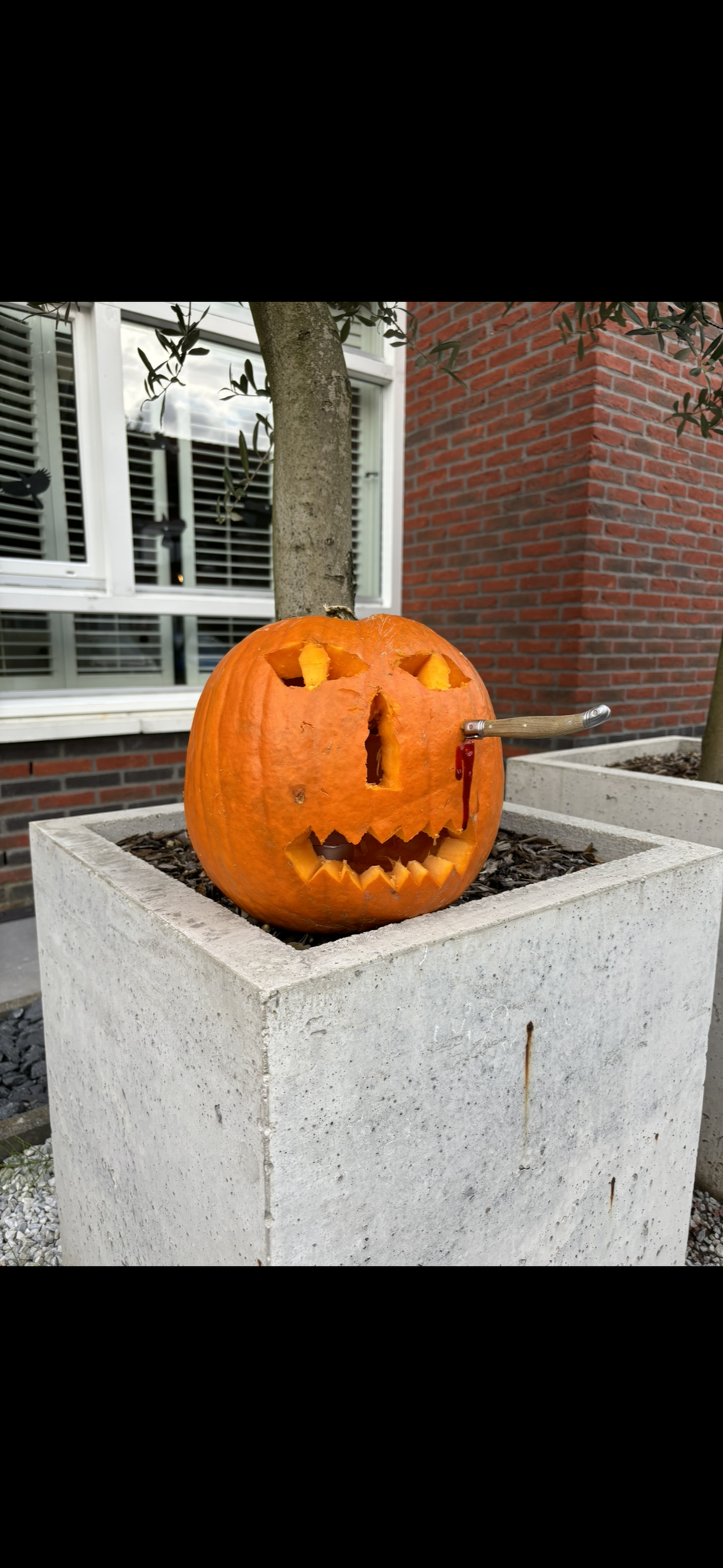 IMG_0612.png
