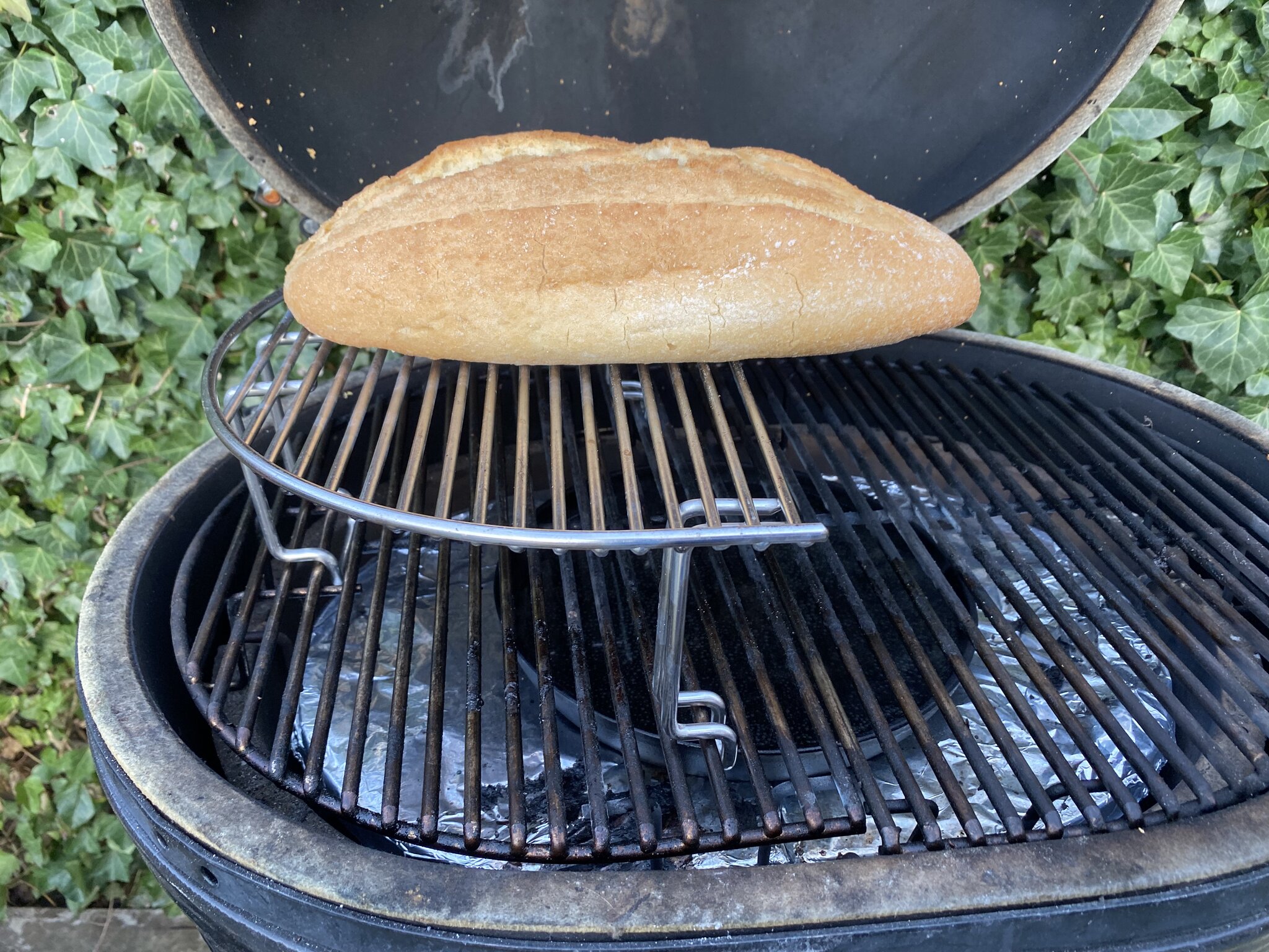 IMG_1229.jpeg