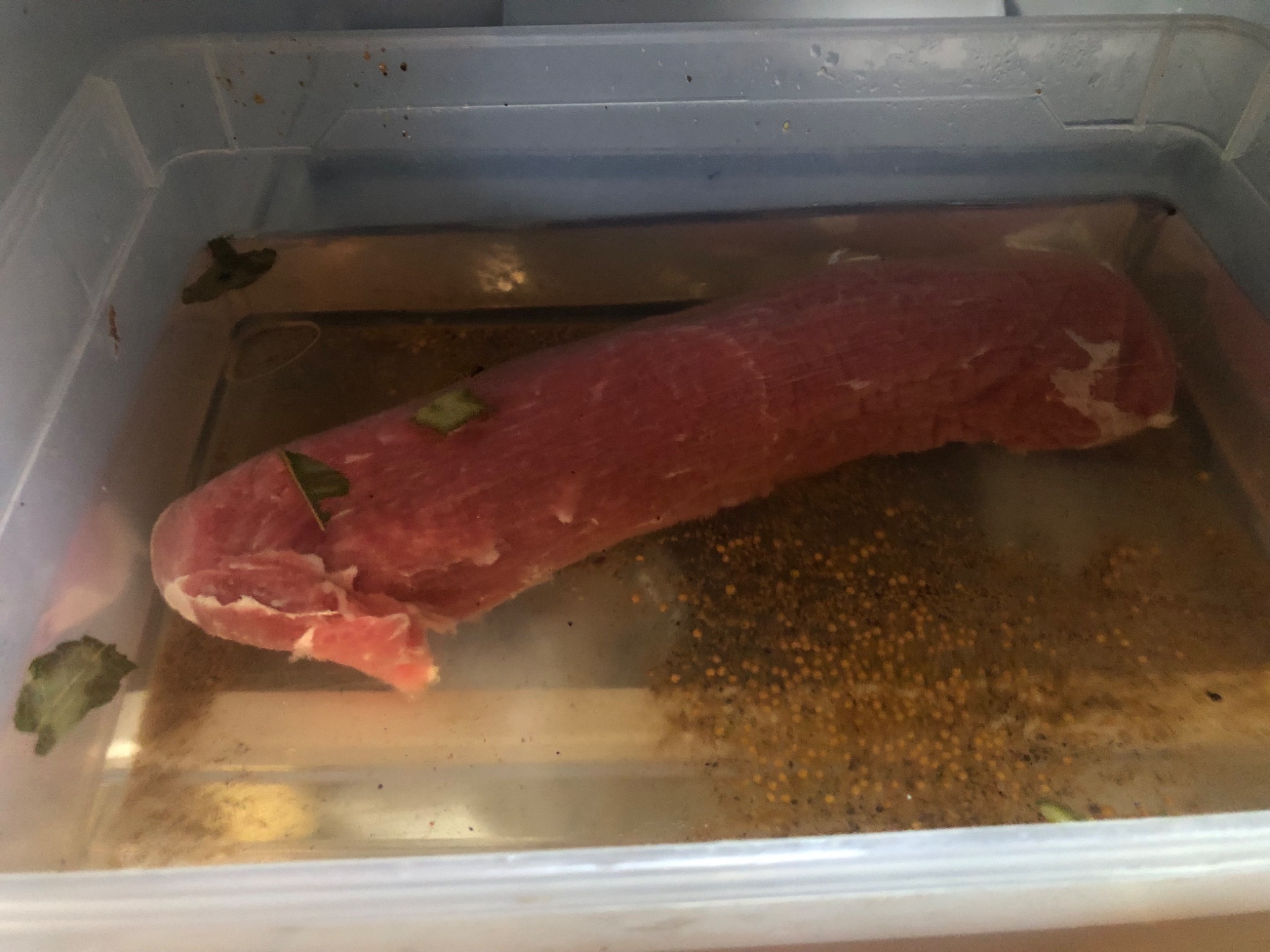 IMG_1658.jpeg