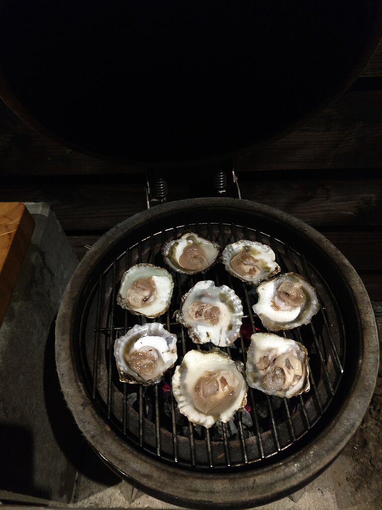 IMG_20201226_184249046.jpg
