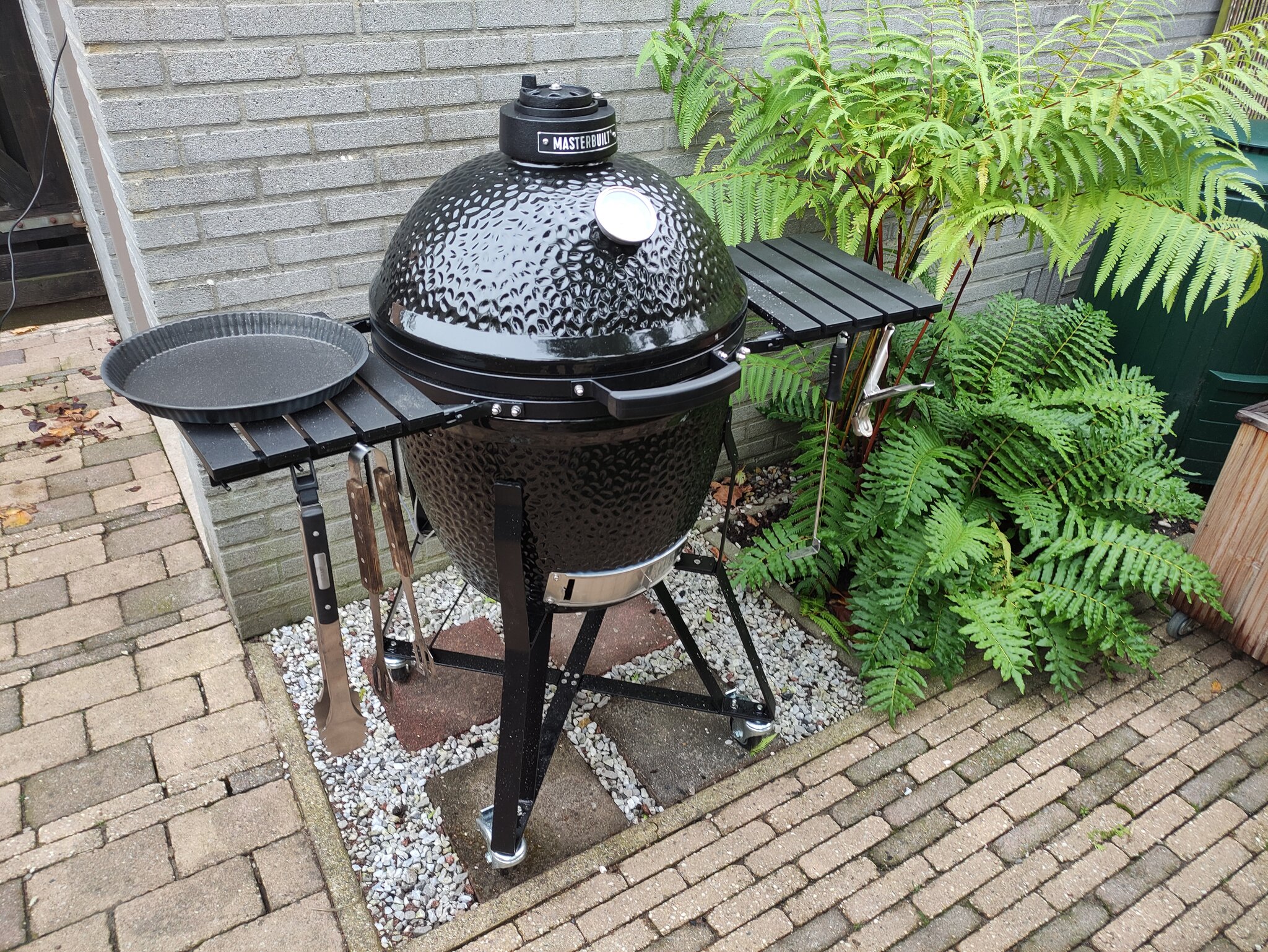 IMG_20211103_155341.jpg