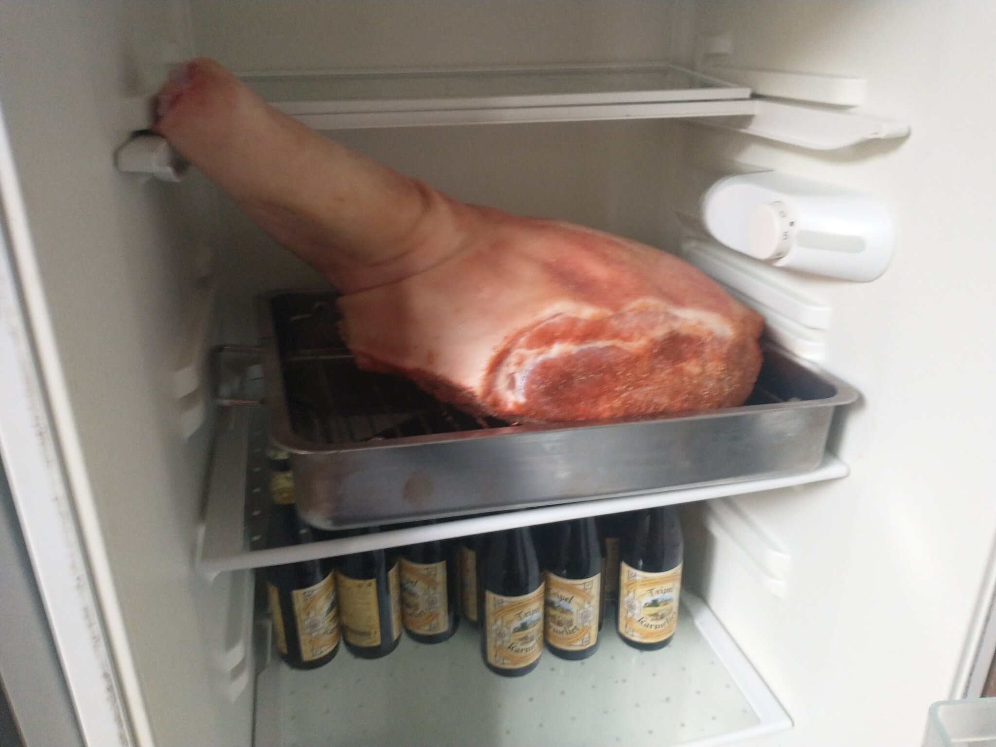 IMG_20220421_201223679.jpg
