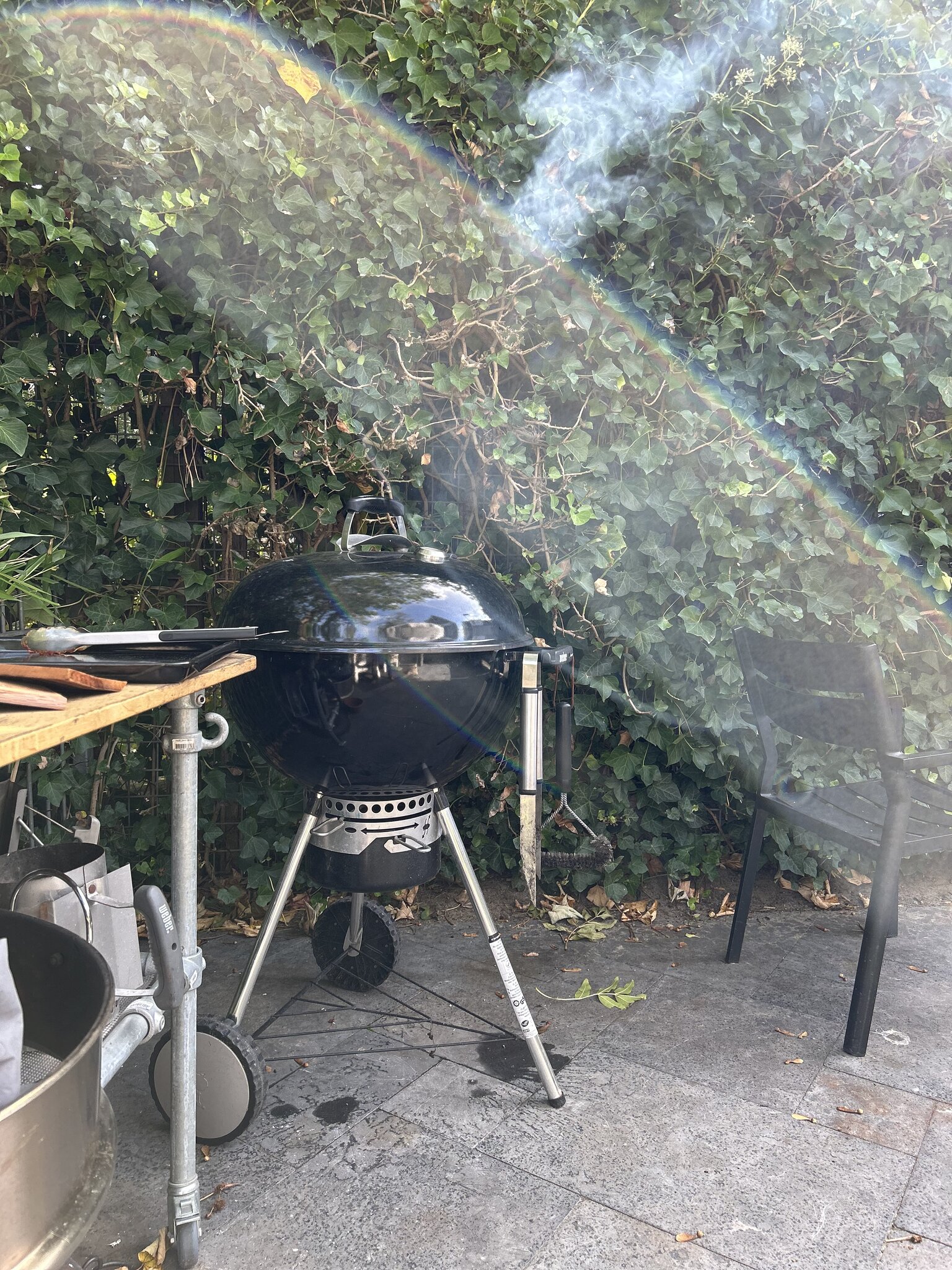 IMG_4966.jpeg