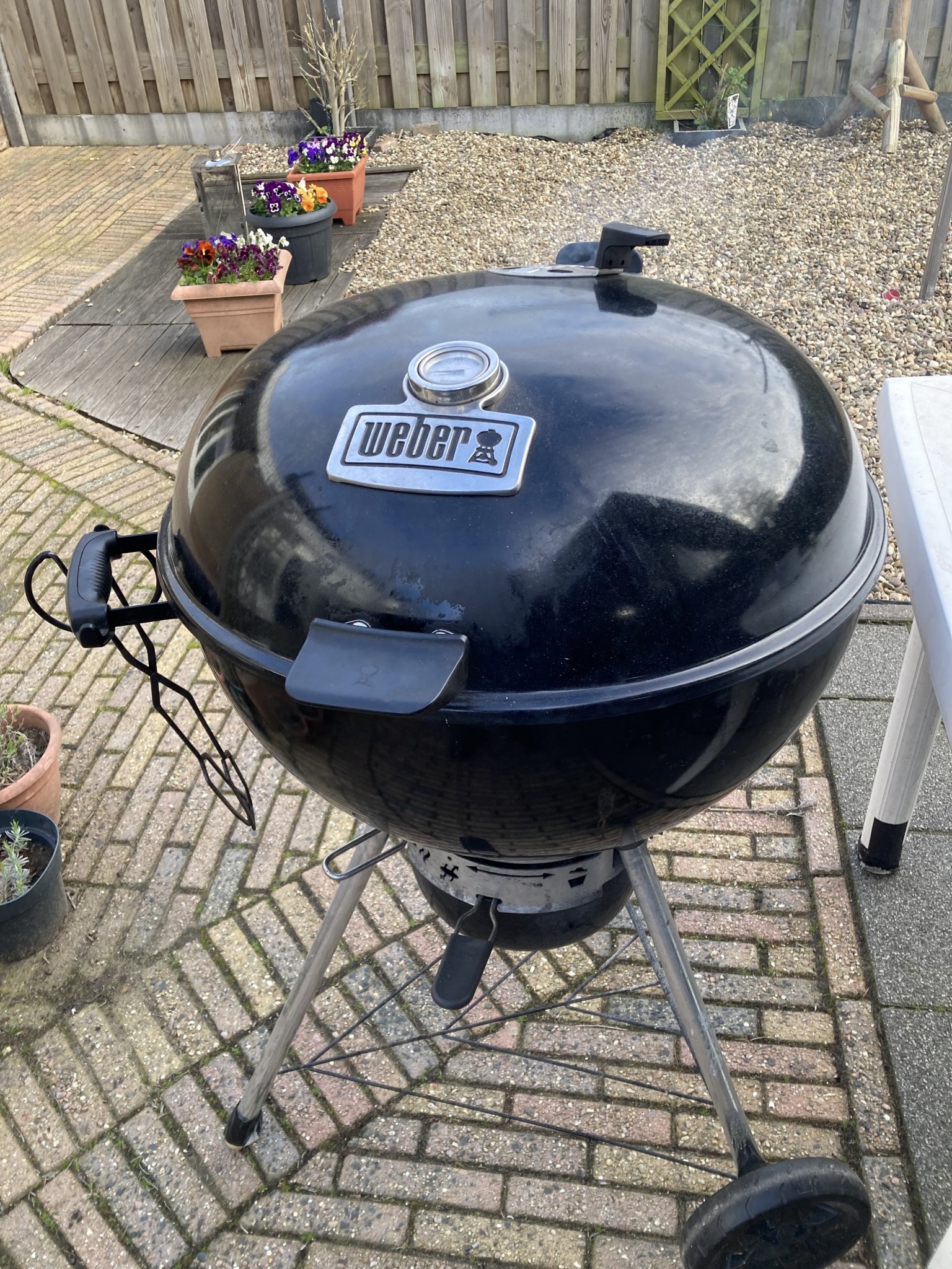 IMG_9768.jpeg