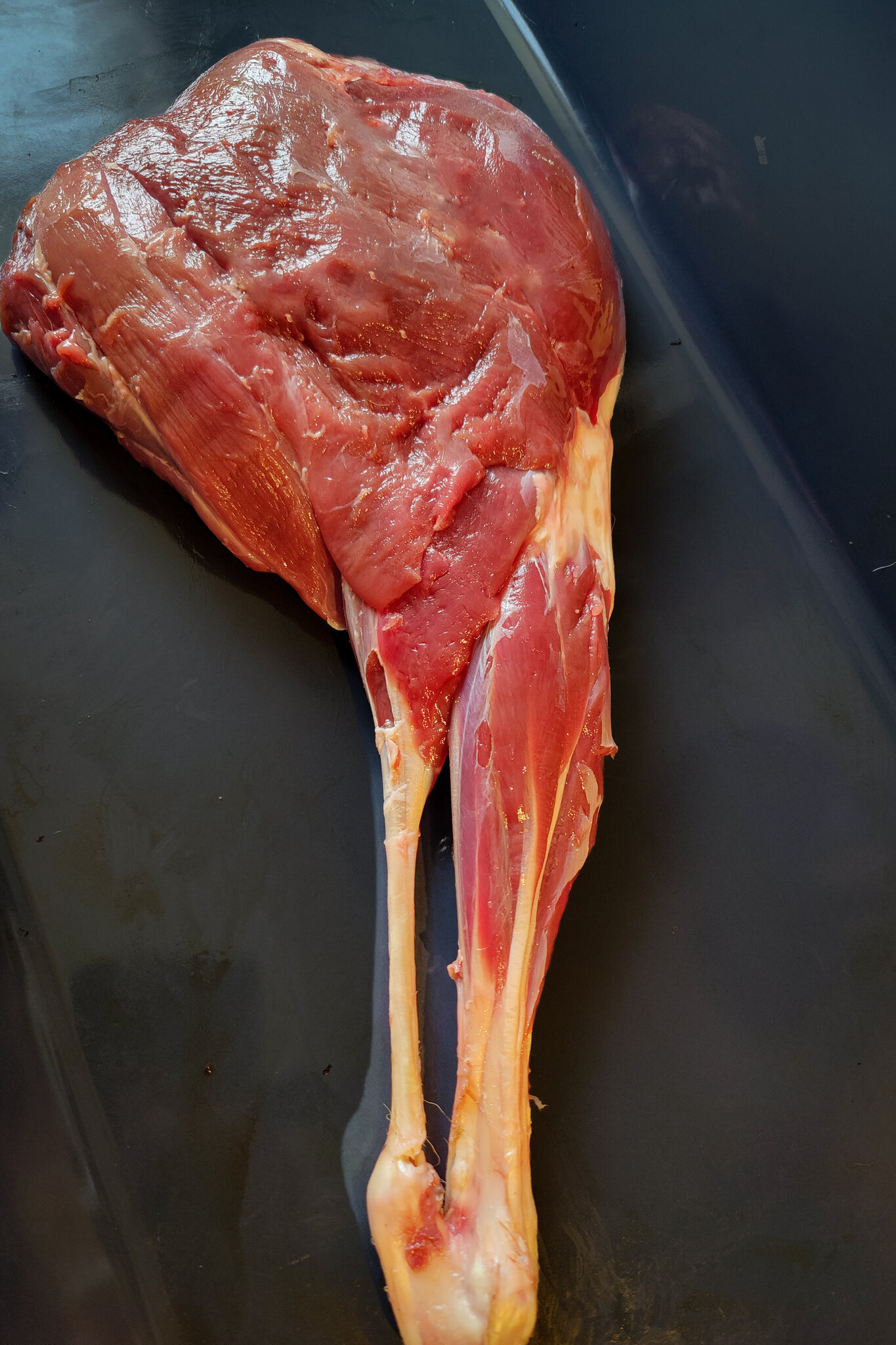 meat2 (1).jpg