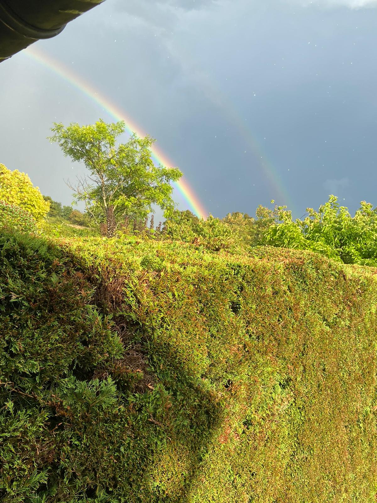 na regen zonneschijn.jpg