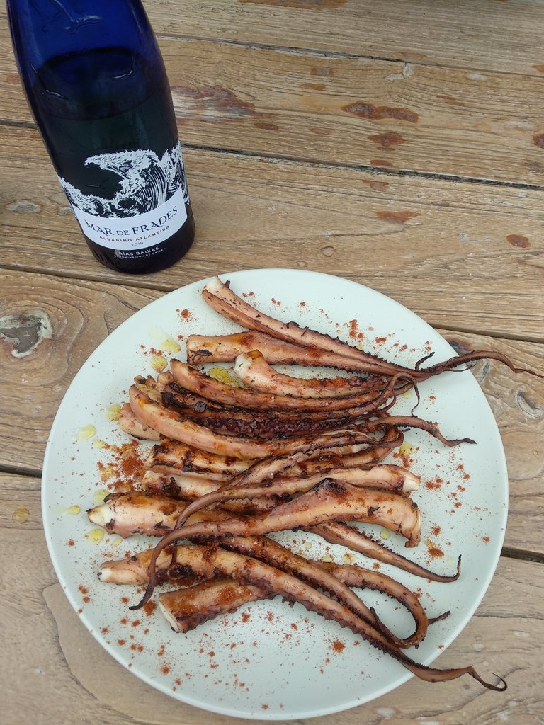Pulpo6.jpg