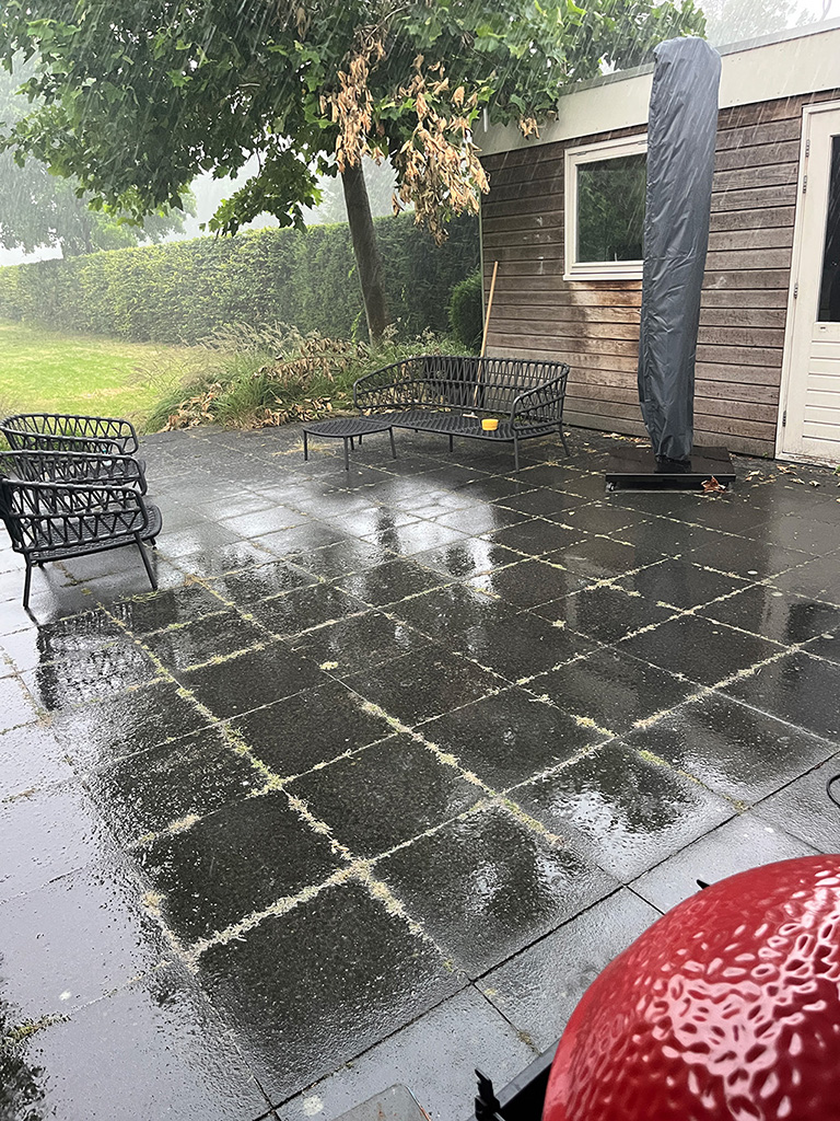 regen.jpg