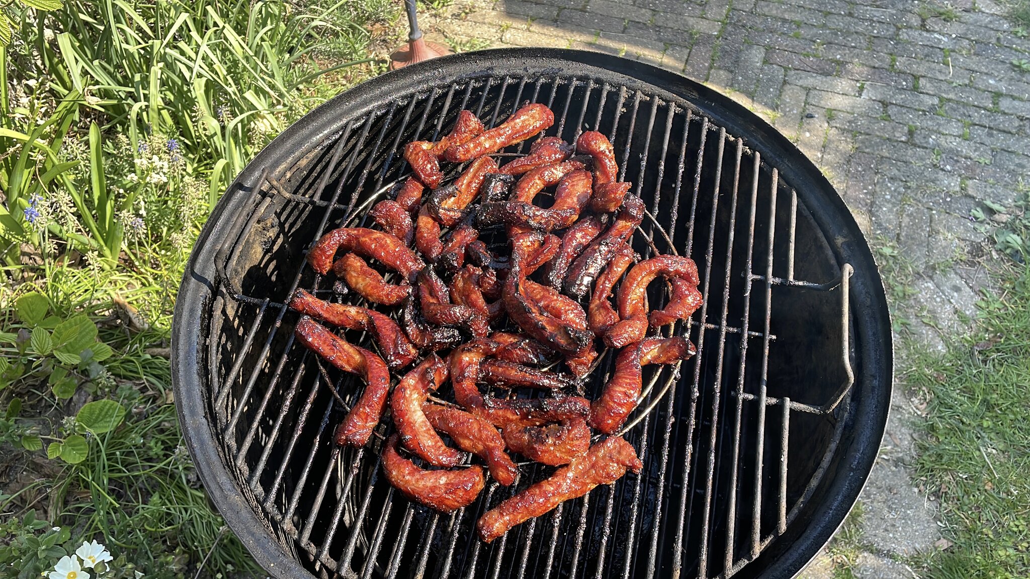 Ribfingers.jpg