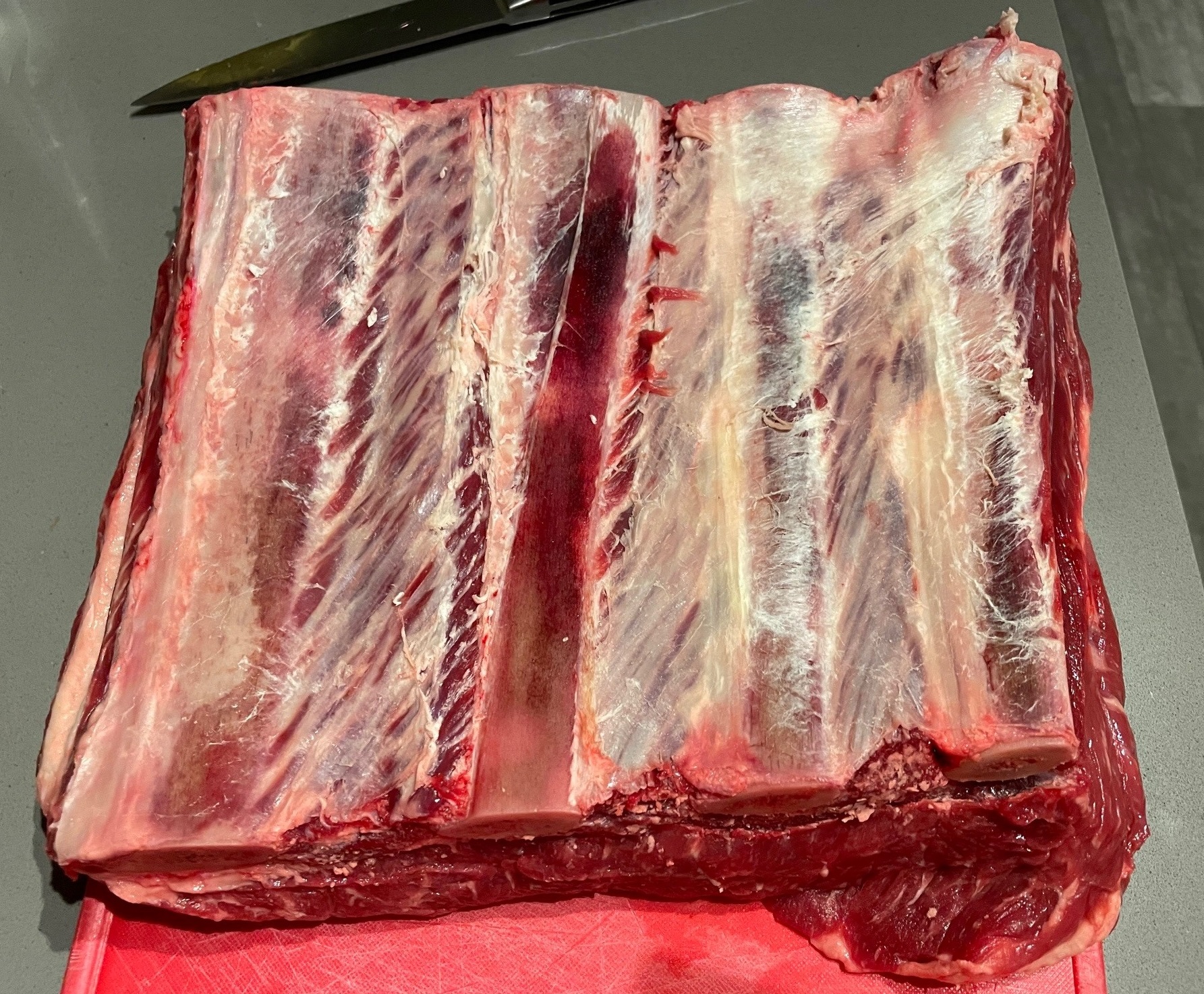 Ribs1.jpg