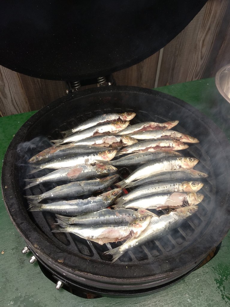 Sardines3.jpg