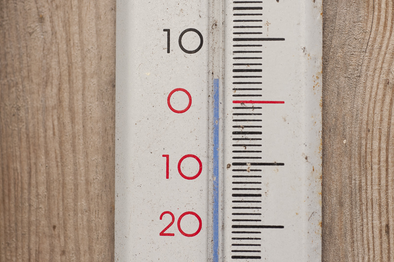 SDJ_0606.JPG