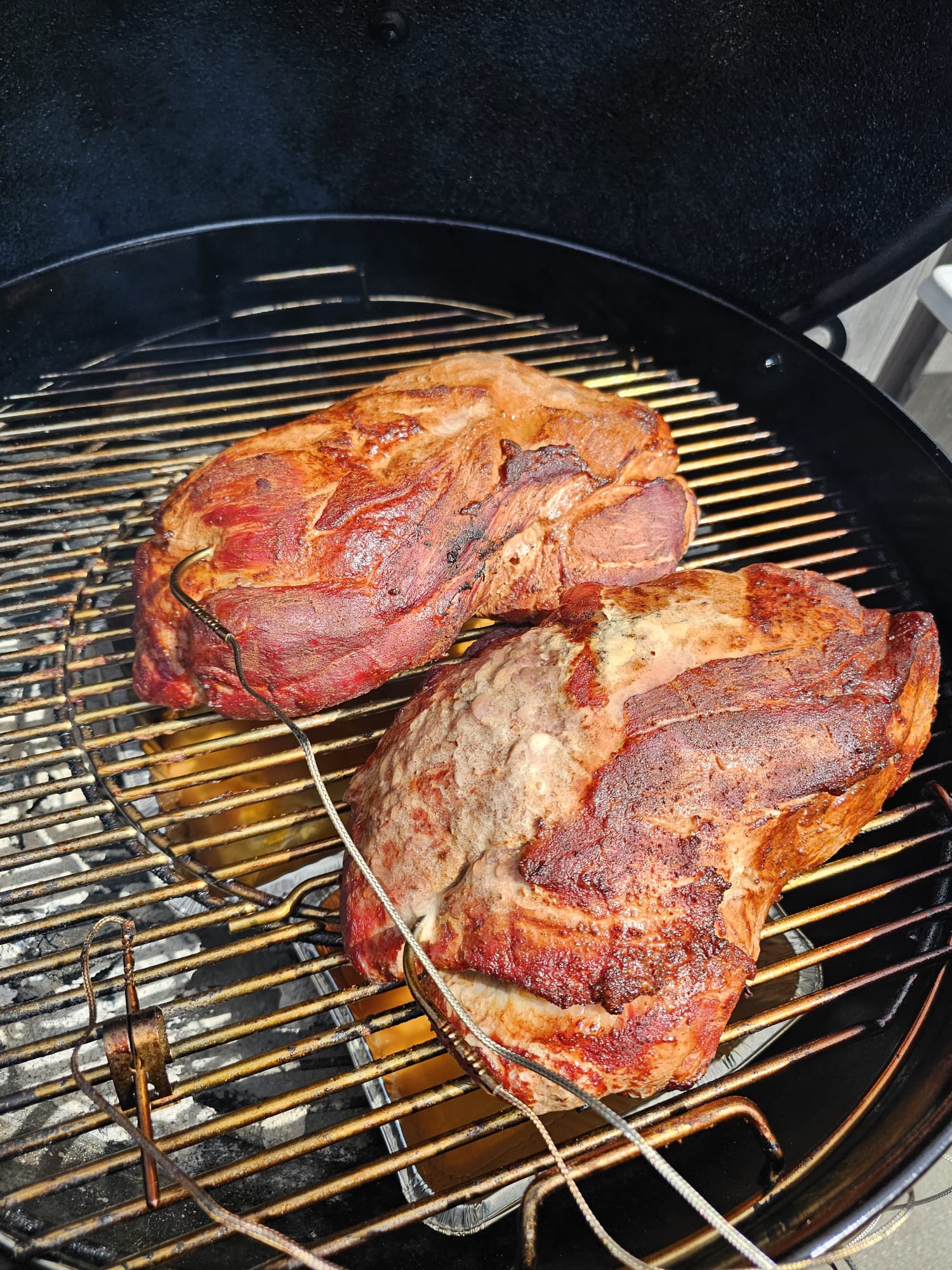 weber snake 3.jpeg