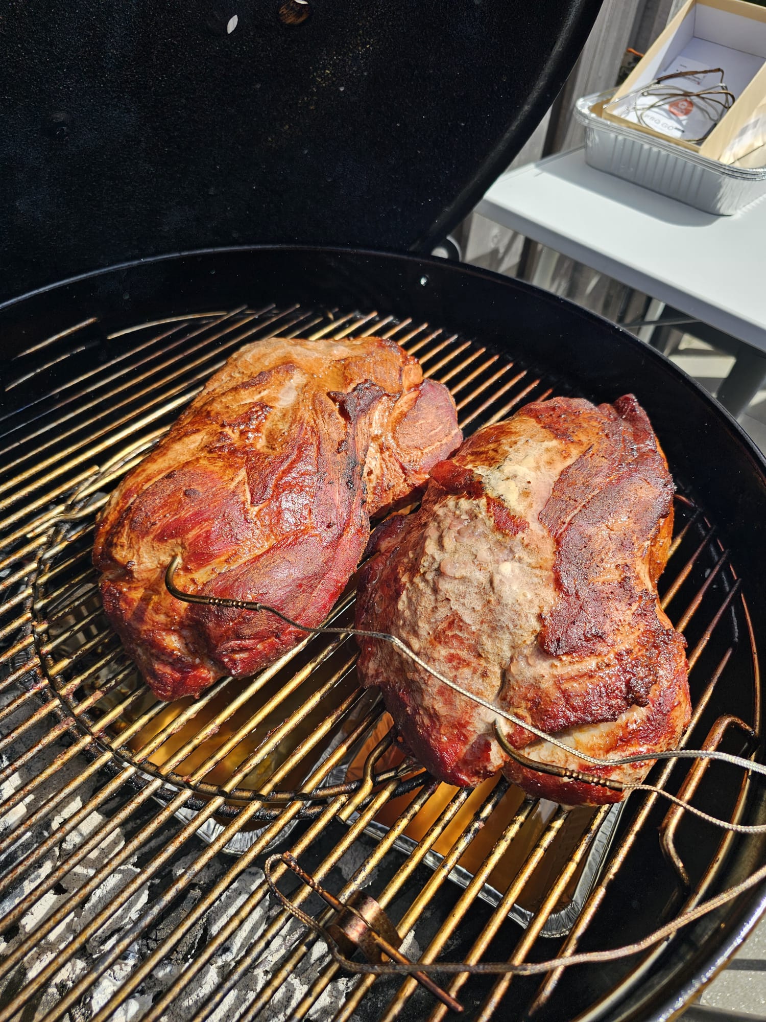 weber snake 4.jpeg