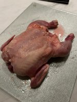 IMG_3404.jpeg
