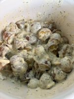 IMG_5490.jpeg